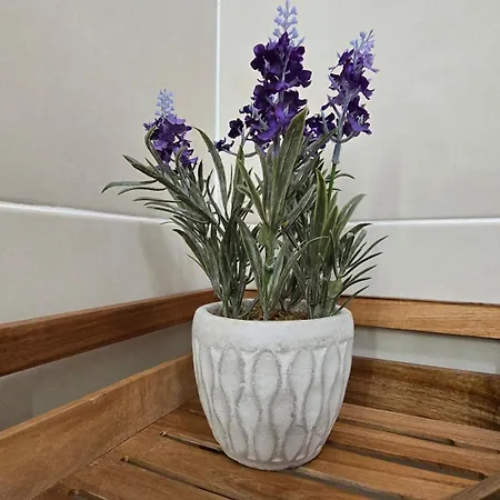 Casa Vista Paraiso Appartamento