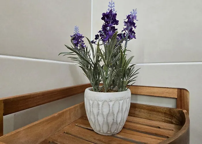 Casa Vista Paraiso 公寓